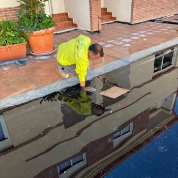 2068e6da-f0f9-4b0d-a508-98c0c6ea9444