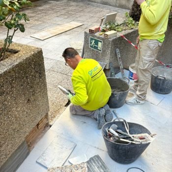 43a7b905-d4e2-4dcd-9020-4a579126e7f6