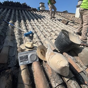 a950d216-60a5-4af8-baef-3861067fccc0