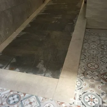 tn_IMG_2565-e1533230600552